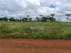 Fazenda / Sítio / Chácara com 1 Quarto à venda, 2352m² no Zona Rural, Cascavel - Foto 1