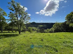Fazenda / Sítio / Chácara com 1 Quarto à venda, 20000m² no São Victor Cohab, Caxias do Sul - Foto 12