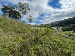 Terreno / Lote / Condomínio à venda, 13000m² no Vale dos Vinhedos, Bento Gonçalves - Foto 57