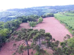 Terreno / Lote / Condomínio à venda, 96000m² no , Santa Tereza - Foto 7