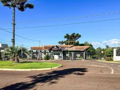 Terreno / Lote / Condomínio à venda, 250m² no Ideal, Londrina - Foto 16