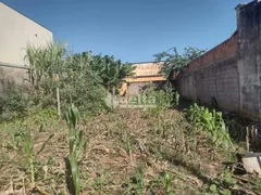 Terreno / Lote / Condomínio à venda, 375m² no Tubalina, Uberlândia - Foto 1