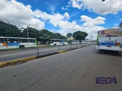 Galpão / Depósito / Armazém para alugar, 370m² no Setor dos Funcionários, Goiânia - Foto 4