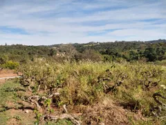 Fazenda / Sítio / Chácara com 5 Quartos à venda, 5000m² no BOSQUE, Vinhedo - Foto 23