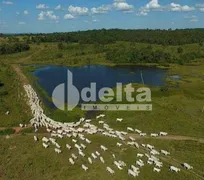 Fazenda / Sítio / Chácara à venda, 121000000m² no Area Rural de Uberlandia, Uberlândia - Foto 1