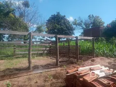 Fazenda / Sítio / Chácara à venda, 16000m² no , Alto Paraná - Foto 10