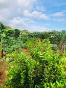 Fazenda / Sítio / Chácara com 3 Quartos à venda, 2400m² no Setor Central , Bela Vista de Goiás - Foto 64