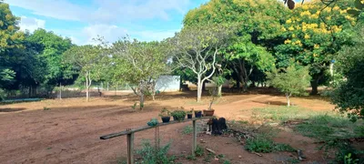 Fazenda / Sítio / Chácara com 2 Quartos à venda, 420000m² no Paranoá, Brasília - Foto 37