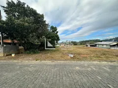 Terreno / Lote / Condomínio à venda, 707m² no Divinéia, Rio dos Cedros - Foto 6