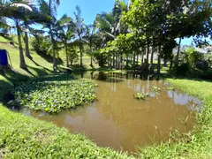 Fazenda / Sítio / Chácara com 3 Quartos à venda, 4500m² no Três Riachos, Biguaçu - Foto 35