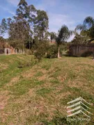 Fazenda / Sítio / Chácara com 3 Quartos à venda, 350m² no Nossa Senhora do Perpétuo Socorro, Pindamonhangaba - Foto 3