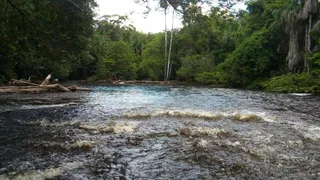 Terreno / Lote / Condomínio à venda, 200000m² no , Presidente Figueiredo - Foto 1