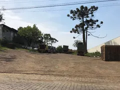 Terreno / Lote Comercial à venda no Salgado Filho, Caxias do Sul - Foto 1