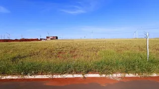 Terreno / Lote / Condomínio à venda, 250m² no , São Carlos - Foto 7