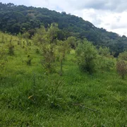 Terreno / Lote / Condomínio à venda, 49000m² no Zona Rural, Camanducaia - Foto 3