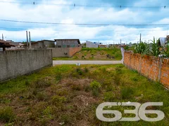 Terreno / Lote / Condomínio à venda, 240m² no Porto Grande, Araquari - Foto 4