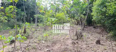 Fazenda / Sítio / Chácara à venda, 4000m² no Pitanguinha, Simões Filho - Foto 19