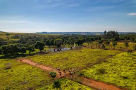 Fazenda / Sítio / Chácara com 3 Quartos à venda, 300m² no Zona Rural, Luziânia - Foto 33