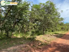 Fazenda / Sítio / Chácara à venda, 23130000m² no Zona Rural, São Francisco do Maranhão - Foto 18