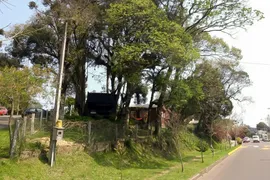 Casa com 2 Quartos à venda, 740m² no Vila Maggi, Canela - Foto 16