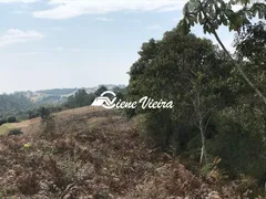 Fazenda / Sítio / Chácara com 2 Quartos à venda, 40000m² no Canjicas, Arujá - Foto 18