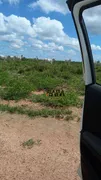Fazenda / Sítio / Chácara à venda, 58080000m² no Zona Rural, Santana do Araguaia - Foto 4