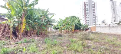 Terreno / Lote / Condomínio para alugar, 1108m² no Mansões Santo Antônio, Campinas - Foto 6