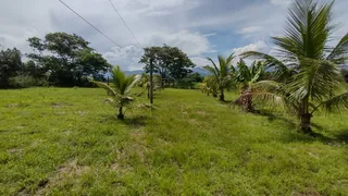 Fazenda / Sítio / Chácara com 2 Quartos à venda, 39000m² no Parque Duque de Caxias, Duque de Caxias - Foto 36