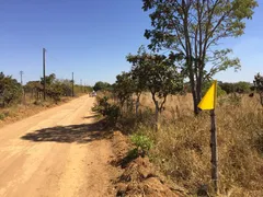 Fazenda / Sítio / Chácara com 1 Quarto à venda, 5030m² no Centro, Aragoiânia - Foto 3