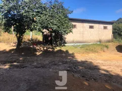 Fazenda / Sítio / Chácara com 3 Quartos à venda, 170m² no Area Rural de Amparo, Amparo - Foto 8