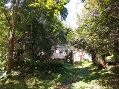 Fazenda / Sítio / Chácara com 2 Quartos à venda, 361m² no Jardim Alpino, São Paulo - Foto 5