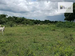Fazenda / Sítio / Chácara à venda, 590m² no Zona Rural, Poconé - Foto 31