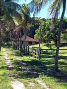 Fazenda / Sítio / Chácara com 2 Quartos à venda, 500m² no , Silva Jardim - Foto 1