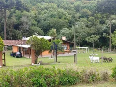 Fazenda / Sítio / Chácara com 4 Quartos à venda, 450m² no Fazenda Souza, Caxias do Sul - Foto 5