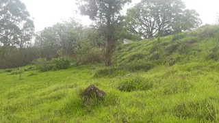 Terreno / Lote / Condomínio para venda ou aluguel, 2001m² no Jardim Estancia Brasil, Atibaia - Foto 1