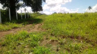 Fazenda / Sítio / Chácara à venda, 10000m² no Zona Rural, Glória do Goitá - Foto 10