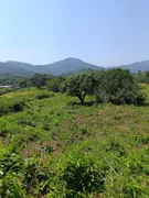 Fazenda / Sítio / Chácara à venda, 75000m² no Ilha de Guaratiba, Rio de Janeiro - Foto 32