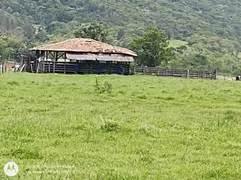 Fazenda / Sítio / Chácara à venda, 370000m² no Itinga, Tijucas - Foto 2
