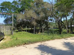 Fazenda / Sítio / Chácara à venda, 75000m² no Ilha de Guaratiba, Rio de Janeiro - Foto 40