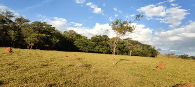 Terreno / Lote Comercial à venda, 20000m² no Centro, São Gonçalo do Pará - Foto 3