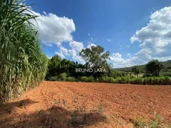 Fazenda / Sítio / Chácara com 3 Quartos à venda, 200m² no , Mateus Leme - Foto 54