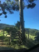 Fazenda / Sítio / Chácara com 2 Quartos à venda, 30000m² no Centro, Bocaina de Minas - Foto 5