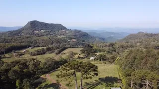 Fazenda / Sítio / Chácara com 1 Quarto à venda, 60000m² no Serra Grande, Gramado - Foto 8