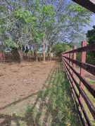 Fazenda / Sítio / Chácara com 4 Quartos à venda, 40000m² no Zona Rural, Monte Alegre - Foto 13