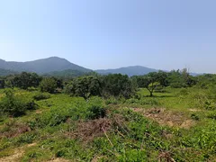 Fazenda / Sítio / Chácara à venda, 75000m² no Ilha de Guaratiba, Rio de Janeiro - Foto 35