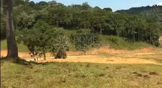 Fazenda / Sítio / Chácara com 2 Quartos à venda, 80m² no Zona Rural, Campo Alegre - Foto 30