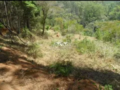 Terreno / Lote / Condomínio à venda, 90000m² no Araras, Petrópolis - Foto 3