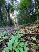 Terreno / Lote / Condomínio à venda, 20000m² no Vale dos Vinhedos, Bento Gonçalves - Foto 2