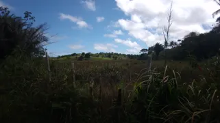 Fazenda / Sítio / Chácara à venda, 50000m² no Zona Rural, Conde - Foto 24