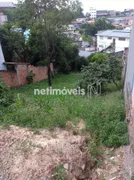 Terreno / Lote Comercial à venda, 300m² no Goiânia, Belo Horizonte - Foto 9